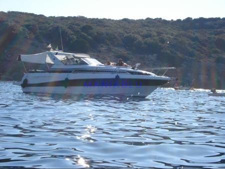 Gobbi Gobbi 31