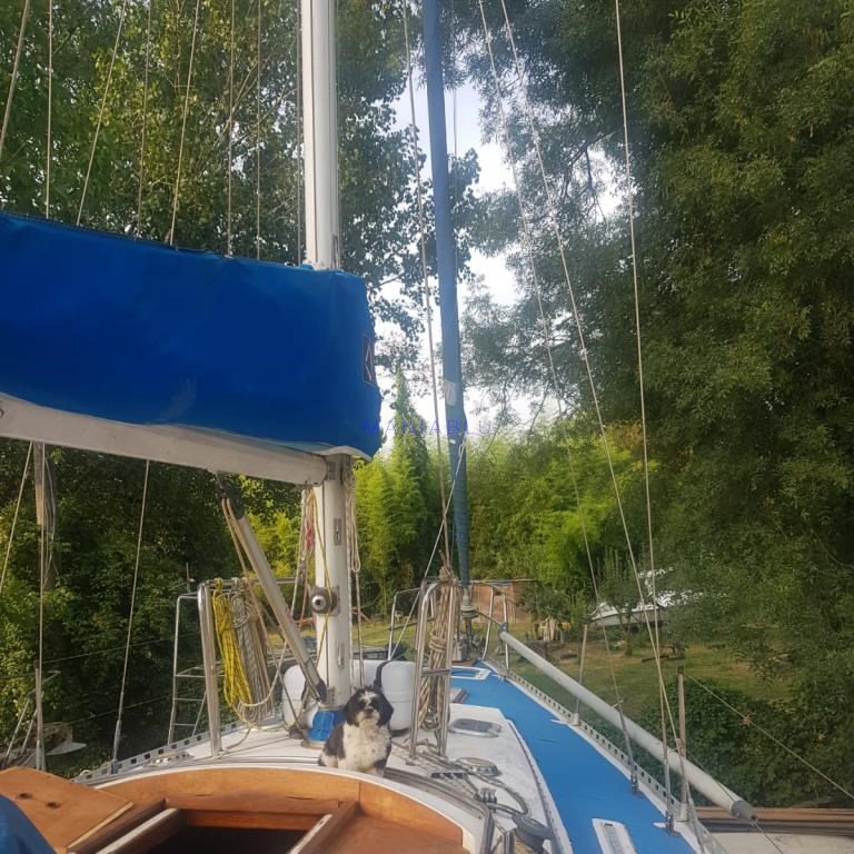 SUD CANTIERI  Cigolette