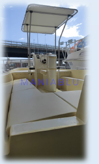 Compositi Veloci Power Cat Teseo 650