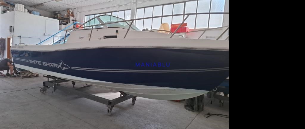 KELT white shark 237